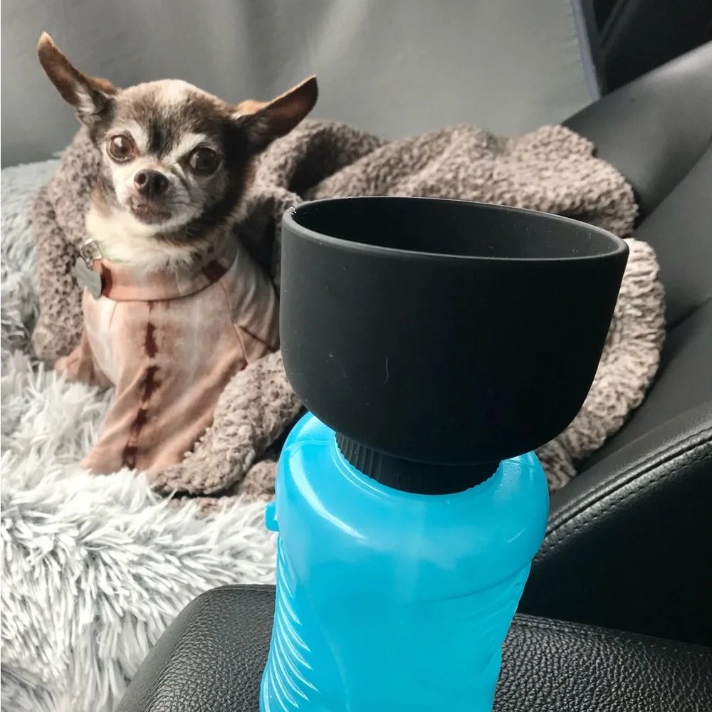 Small dog water bottle